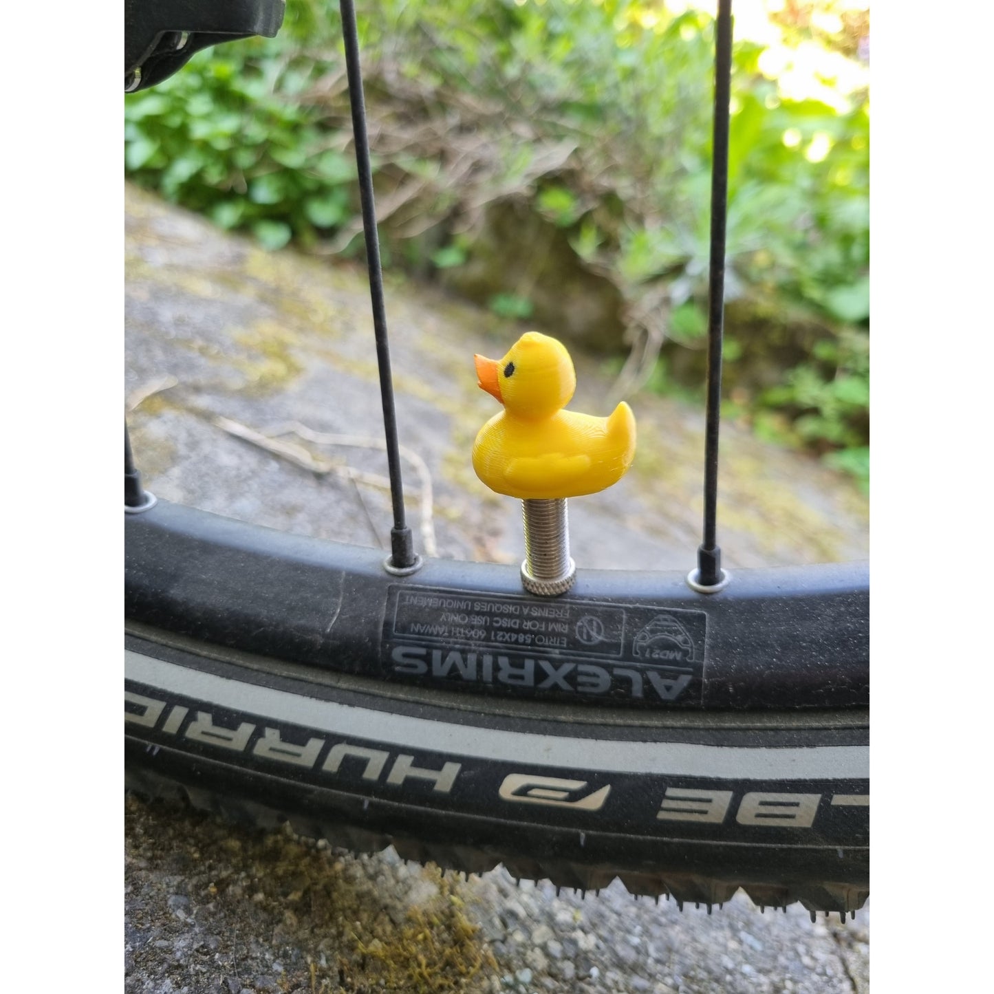 Ente - Schaumboss